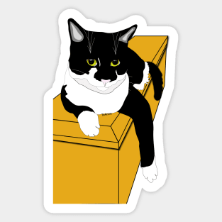 Cute Tuxedo On a Box Copyright TeAnne Sticker